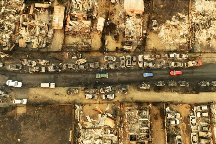 Chile ban bố tình trạng khẩn cấp vì cháy rừng khiến 51 người thiệt mạng