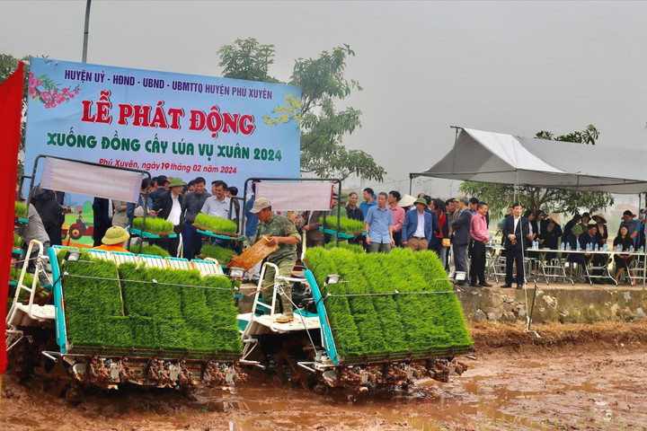 Phú Xuyên tập trung gieo cấy vụ xuân xong trước ngày 28-2