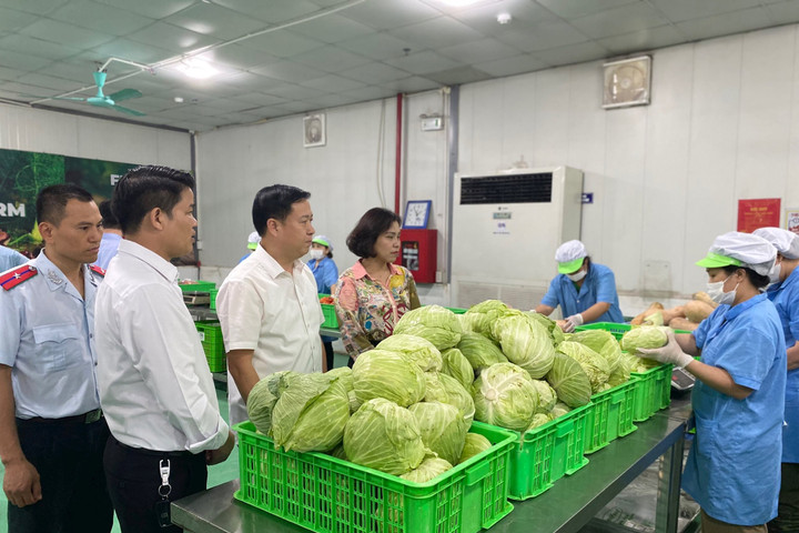 Kiểm tra an toàn thực phẩm tại quận Hoàng Mai và huyện Thanh Trì