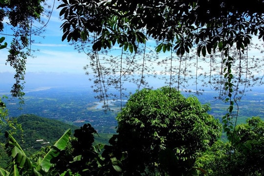 Chung tay bảo vệ “lá phổi xanh”