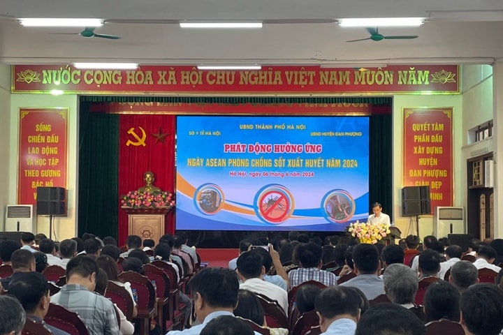 Dự báo sốt xuất huyết diễn biến phức tạp
