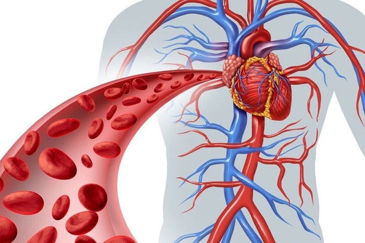 Bệnh lý mạch máu - “Sát thủ thầm lặng” có xu hướng trẻ hóa