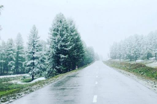 Hy hữu: Tuyết rơi mùa hè tại Mông Cổ