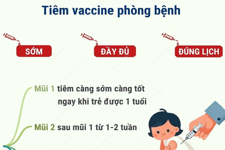 CDC Hà Nội hướng dẫn phòng bệnh viêm não Nhật Bản