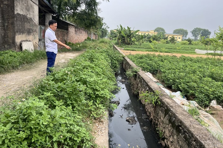 Trang trại chăn nuôi gây ô nhiễm môi trường tại xã Lê Thanh (huyện Mỹ Đức): Phải sớm xử lý dứt điểm