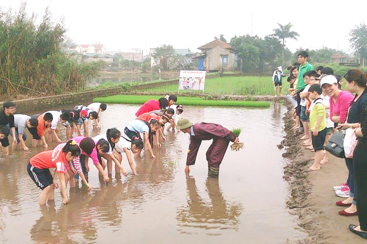 Hồng Vân - điểm du lịch hấp dẫn của Thủ đô