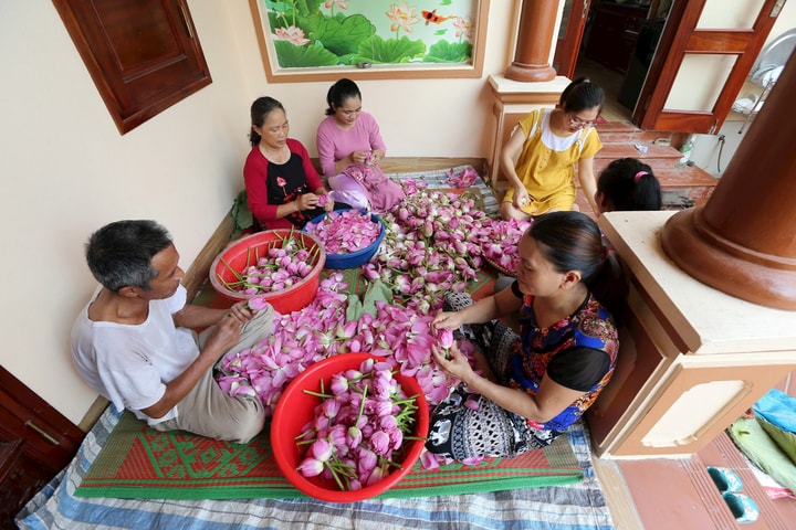 Kết nối “trục sáng tạo” Tây Hồ