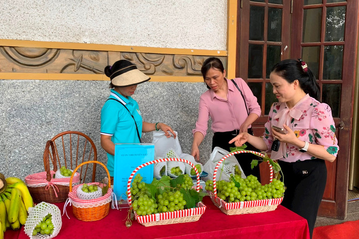 Tăng cường liên kết doanh nghiệp với nông dân