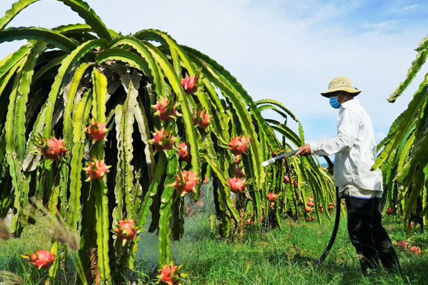 Tin tức đặc biệt trên báo in Hànộimới ngày 19-8-2024