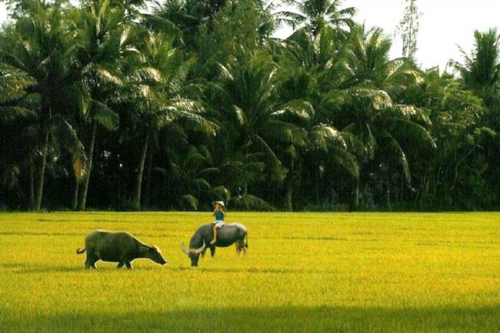 Hai điểm nhấn trong “Hương quê”