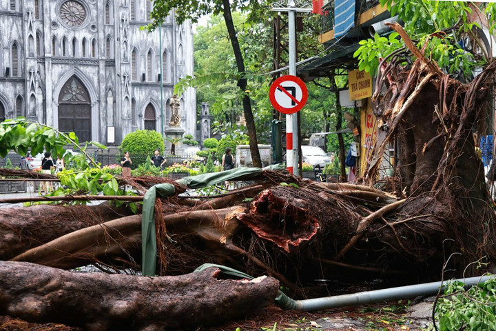 "Thần tốc" xử lý hàng nghìn cây đổ, đưa giao thông Hà Nội trở lại bình thường