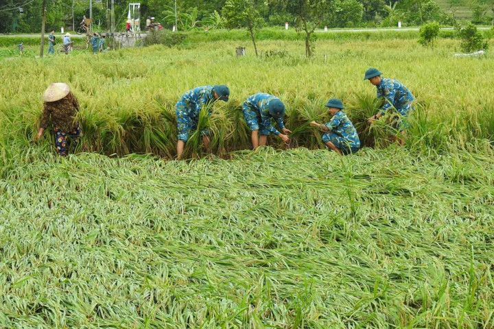 Những người lính Thủ đô chung sức giúp dân chống bão