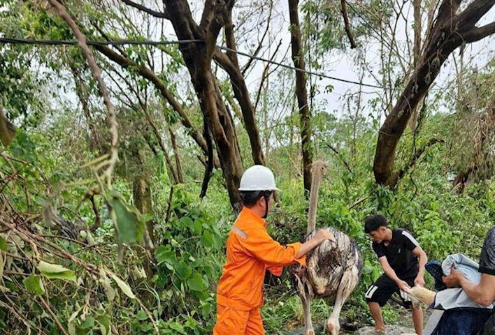 [Podcast] Tin tức ngày 11-9: Ngừng cấp điện các điểm ngập ở Hà Nội để bảo đảm an toàn