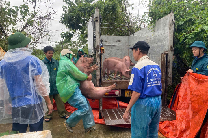 Hoàng Mai: Chiều 11-9, không có hộ dân nào phải di chuyển khỏi nơi nguy hiểm