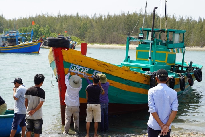 Bà Rịa - Vũng Tàu: Tàu cá “3 không” bị cấm xuất bến, tàu mất kết nối giám sát sẽ bị phạt nặng