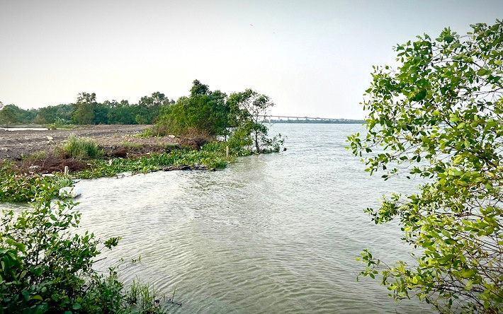 TP Hồ Chí Minh: Khẩn trương, sẵn sàng ứng phó với bão, lũ