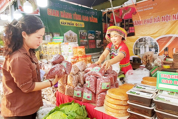 Hà Nội đưa hàng Việt đến gần hơn với người tiêu dùng ngoại thành