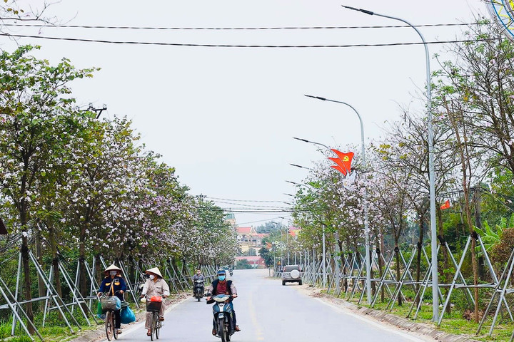 Công tác dân vận hướng về cơ sở: Đổi mới cách làm, hiệu quả thiết thực