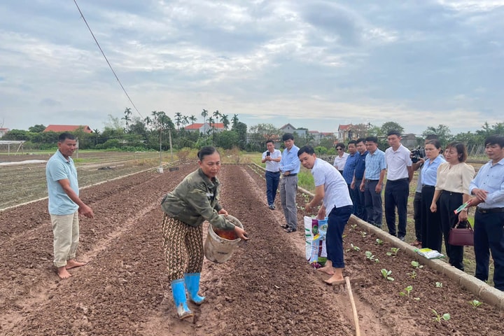 Hỗ trợ giống, vật tư cho nông dân bị thiệt hại do cơn bão số 3