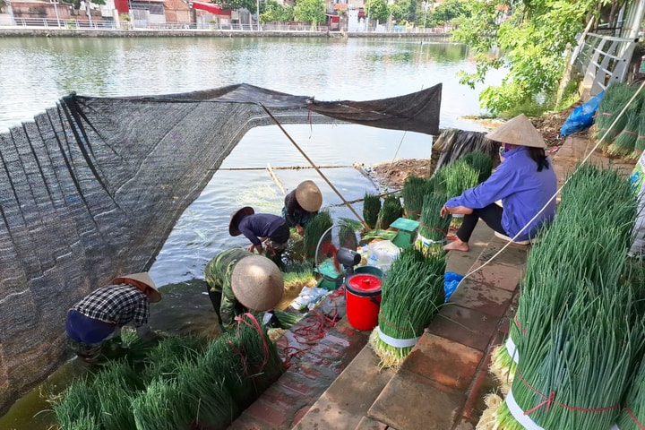 Huyện Phúc Thọ và hành trình phát triển nông thôn sinh thái, thông minh, bền vững