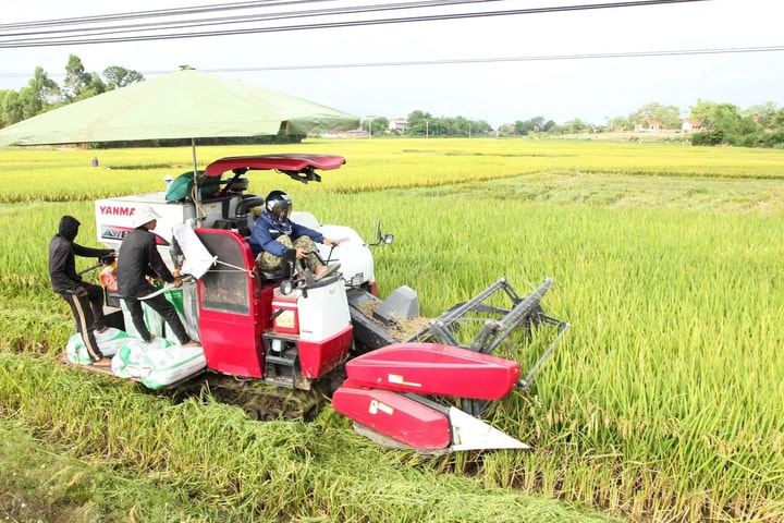 Luồng gió mới cho vùng quê cách mạng Ứng Hòa