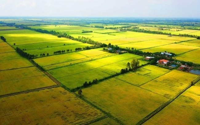 Thủ tướng phê bình 13 tỉnh chậm ban hành các văn bản quy định chi tiết, hướng dẫn thi hành Luật Đất đai