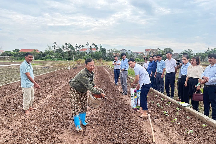 Nỗ lực khắc phục hậu quả của bão số 3