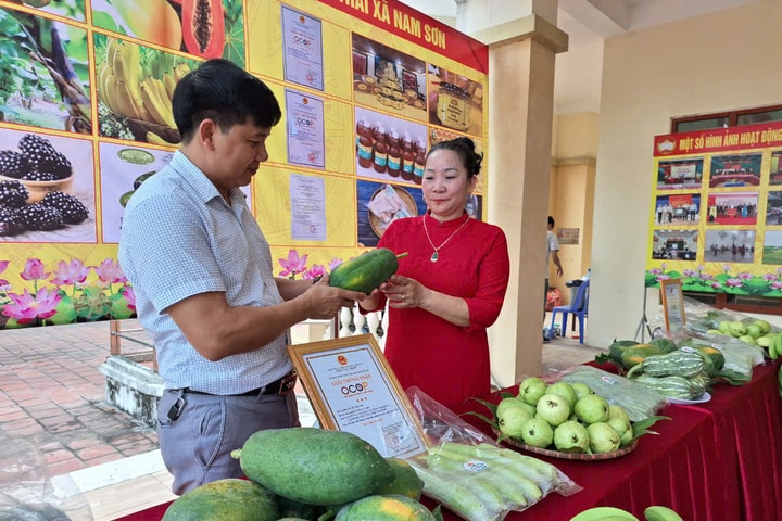 Sóc Sơn: Tiên Dược, Nam Sơn được thẩm định đạt chuẩn nông thôn mới kiểu mẫu