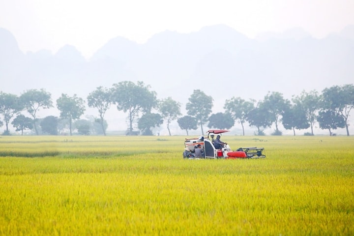 Hạn chế suy thoái đất, nâng cao giá trị diện tích đất trồng trọt