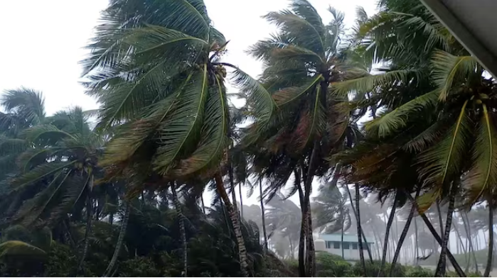 Bão nhiệt đới Nadine quét qua Belize, gây mưa ở Yucatan