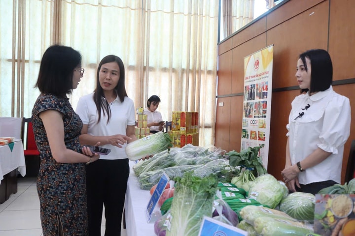 Xuất khẩu nông, lâm, thủy sản Việt Nam sang Trung Quốc: Nổ hũ cần nắm bắt thông tin kịp thời