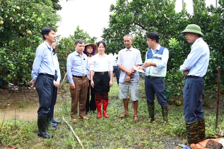 Hà Nội xây dựng các mô hình nông nghiệp chất lượng cao