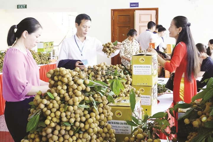 Thành phố Hưng Yên đạt giá trị bình quân 255 triệu đồng/ha canh tác