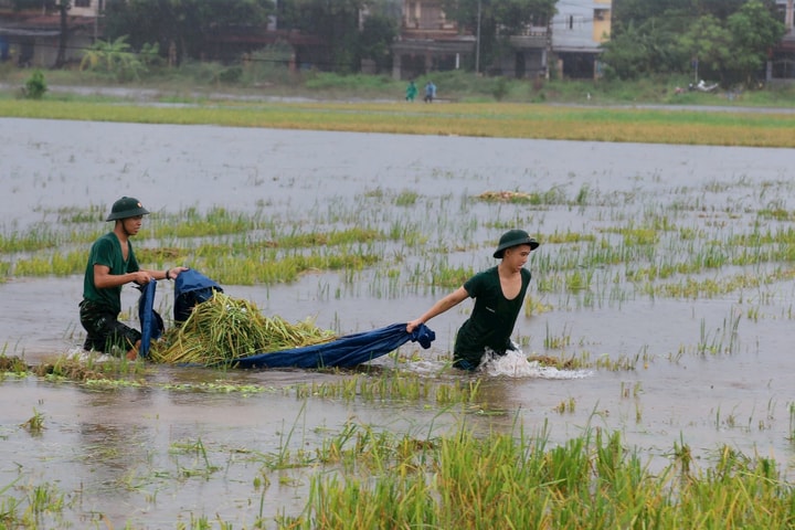 Thi trắc nghiệm trực tuyến về lịch sử Quân đội nhân dân Việt Nam