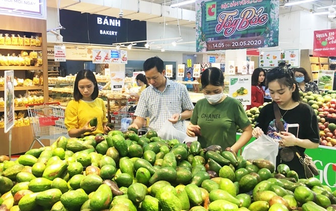 Hà Nội: Tạo môi trường kinh doanh trái cây an toàn, chất lượng