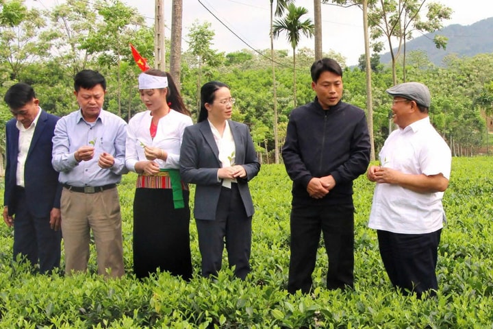 Chủ tịch Hội Nông dân thành phố Hà Nội Phạm Hải Hoa: Đổi mới hoạt động, xây dựng Hội Nông dân Hà Nội ngày càng vững mạnh