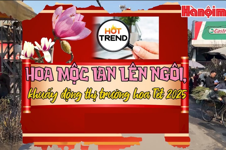 Hoa mộc lan lên ngôi, khuấy động thị trường hoa Tết 2025