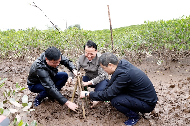 Bộ Tài nguyên và Môi trường phát động Tết trồng cây đời đời nhớ ơn Bác Hồ