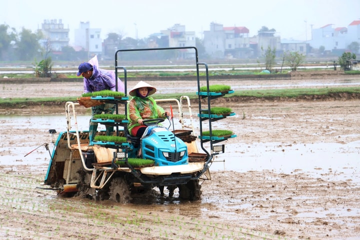 Phú Xuyên phát động xuống đồng đầu năm