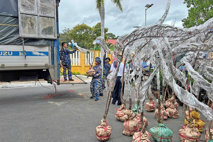 Lan tỏa tình yêu biển, đảo Việt Nam