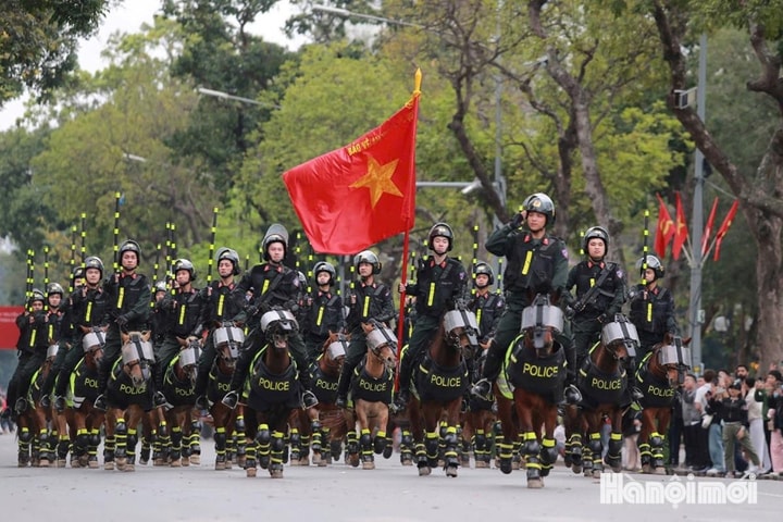 Cận cảnh màn trình diễn của kỵ binh, cảnh khuyển bên hồ Hoàn Kiếm