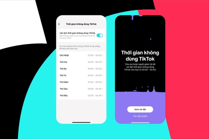 TikTok bổ sung loạt công cụ hỗ trợ phụ huynh kiểm soát con cái