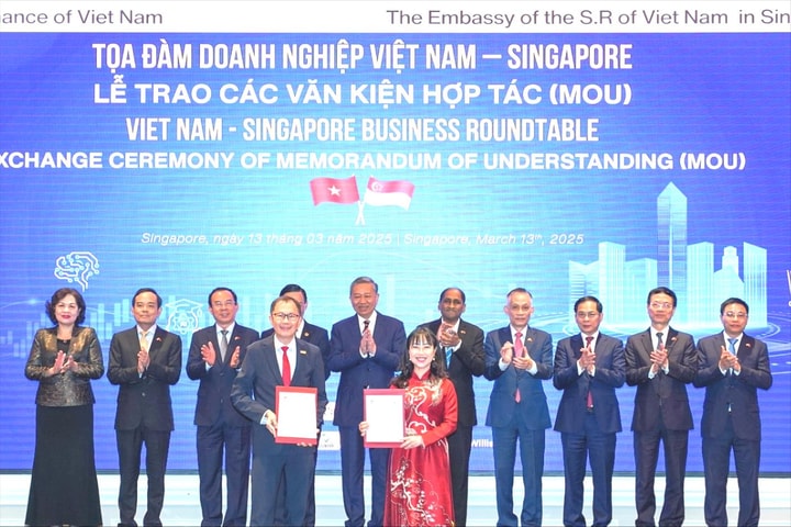 VinUni và NTU Singapore ký kết hợp tác toàn diện