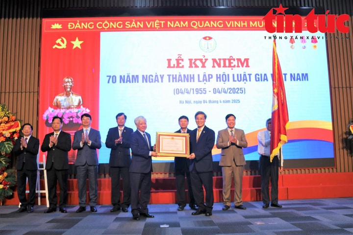 Hội Luật gia Việt Nam góp phần thúc đẩy phát triển kinh tế - xã hội