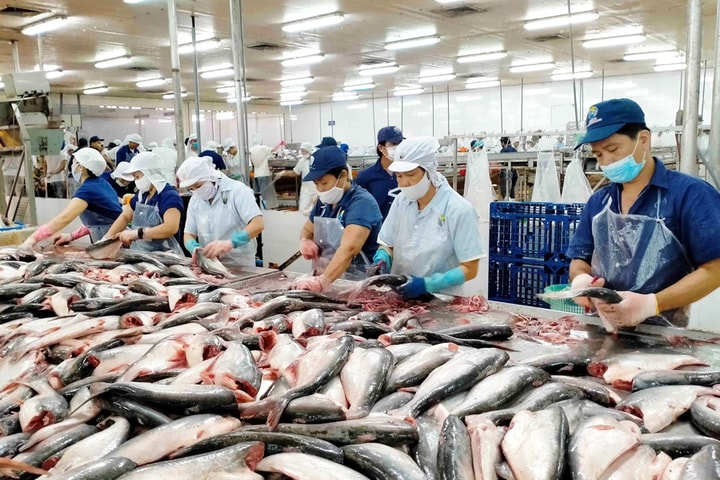 Xuất khẩu thủy sản 3 tháng đầu năm 2025 đạt 2,29 tỷ USD