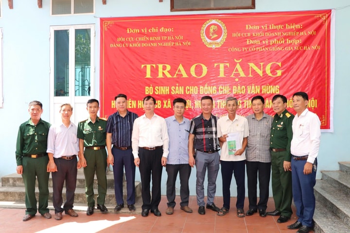 Cựu chiến binh chung sức xây dựng quê hương