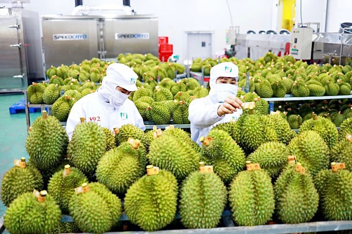 Hợp tác kinh tế, thương mại Việt Nam - Trung Quốc: Không ngừng phát triển mạnh mẽ