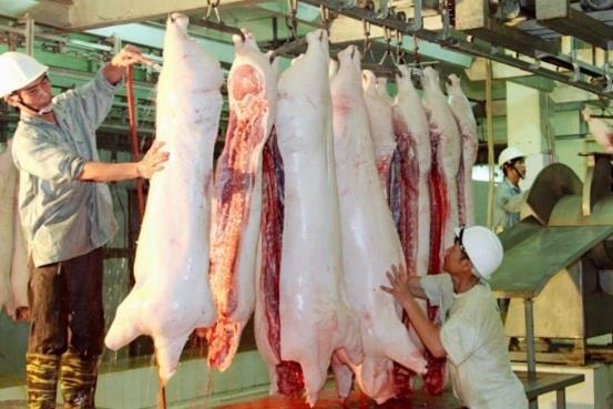 Hà Nội xử lý nghiêm việc giết mổ gia súc, gia cầm không đáp ứng vệ sinh thú y