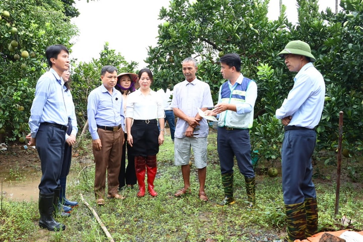 Diễn đàn Khuyến nông @ Nhịp cầu nhà nông: Đưa khoa học kỹ thuật đến với nông dân