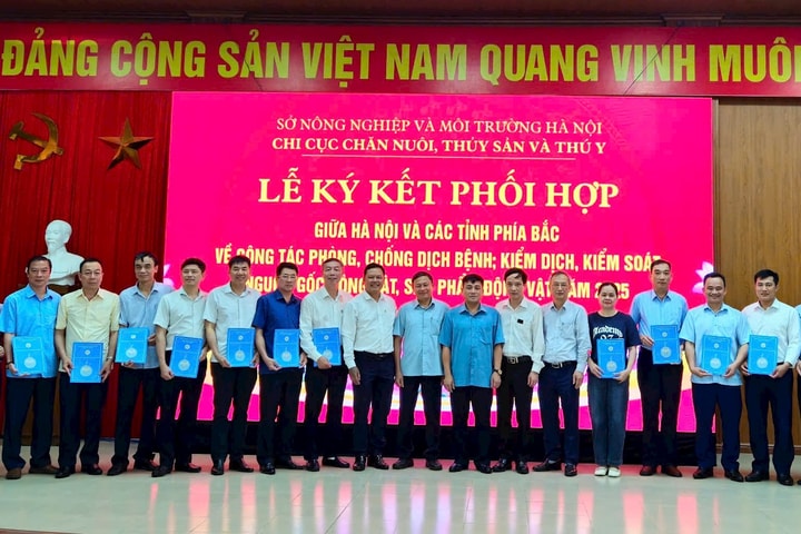 Hà Nội: Tăng cường phối hợp trong kiểm soát nguồn gốc, phòng chống dịch bệnh gia súc, gia cầm